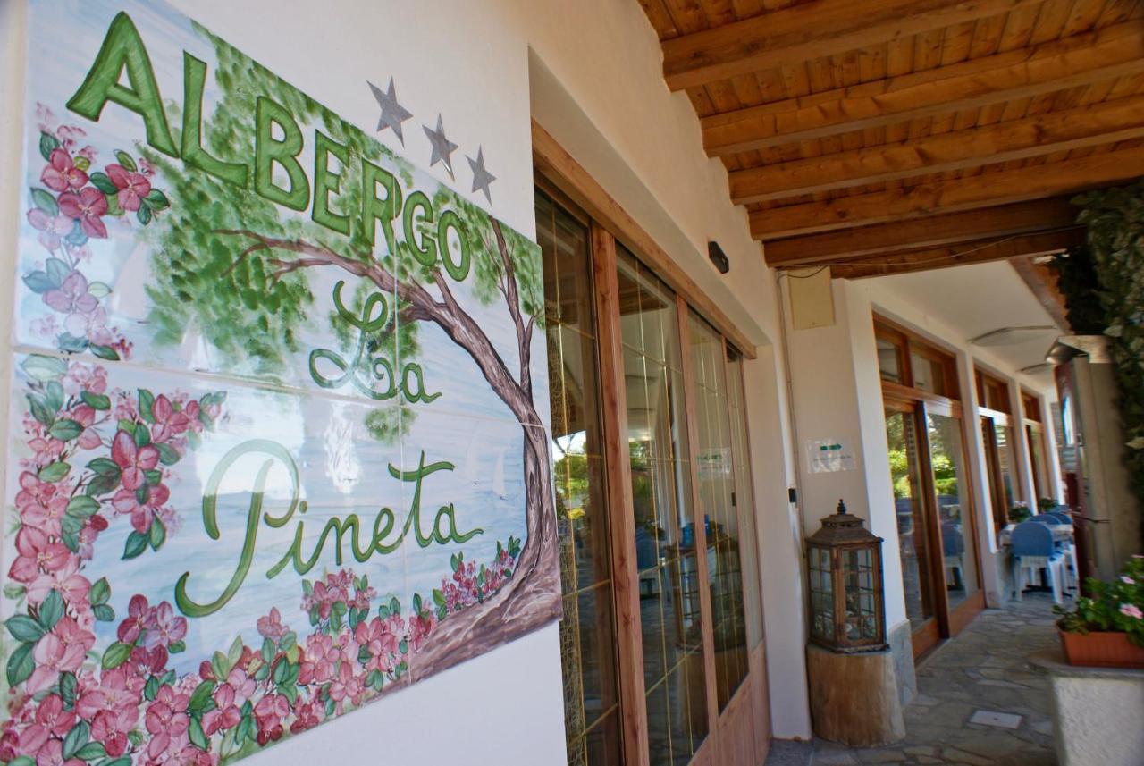 Albergo La Pineta Marina dʼMarina dʼAndora Екстериор снимка