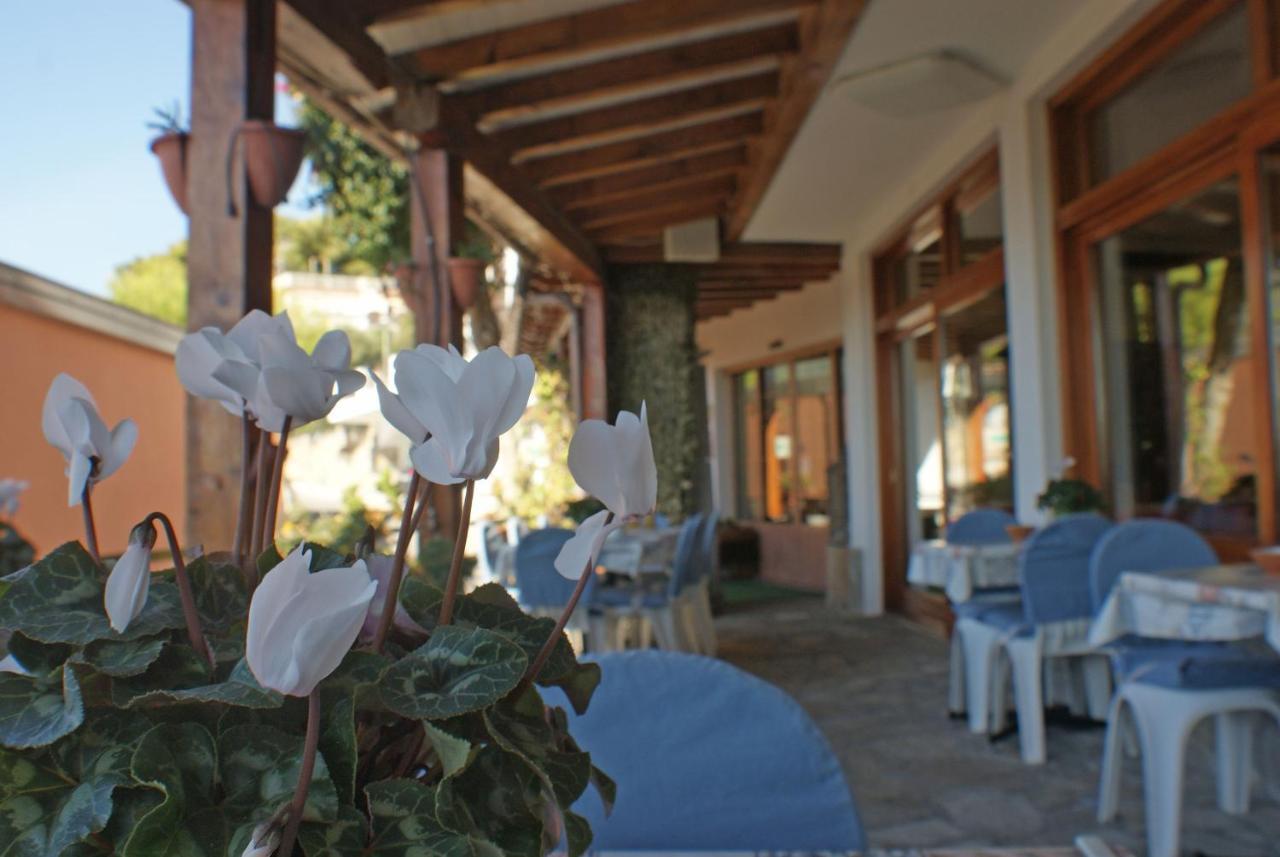 Albergo La Pineta Marina dʼMarina dʼAndora Екстериор снимка